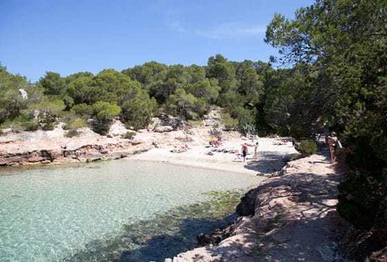 gracionetta-560×380 Gracionetta